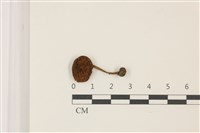 登錄號:F0037459藏品圖，第1張