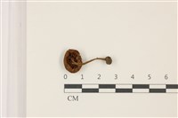 登錄號:F0037459藏品圖，第3張