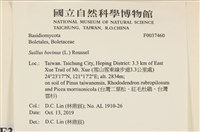 登錄號:F0037460藏品圖，第2張