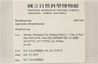 登錄號:F0037461藏品圖，第2張