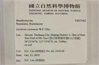 登錄號:F0037462藏品圖，第2張