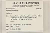 登錄號:F0037463藏品圖，第2張