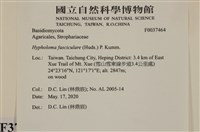 登錄號:F0037464藏品圖，第2張