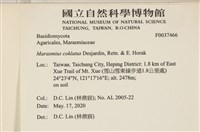 登錄號:F0037466藏品圖，第2張