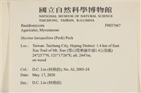 登錄號:F0037467藏品圖，第2張