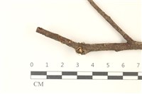 登錄號:F0037467藏品圖，第3張