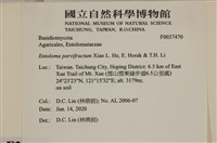 登錄號:F0037470藏品圖，第2張