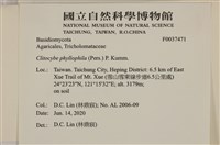登錄號:F0037471藏品圖，第2張