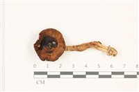 登錄號:F0037472藏品圖，第1張