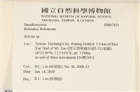 登錄號:F0037473藏品圖，第2張
