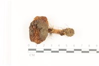 登錄號:F0037473藏品圖，第1張