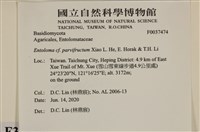 登錄號:F0037474藏品圖，第2張