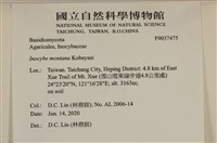 登錄號:F0037475藏品圖，第2張