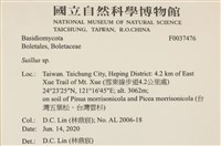 登錄號:F0037476藏品圖，第2張