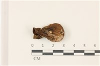 登錄號:F0037476藏品圖，第1張