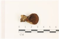 登錄號:F0037476藏品圖，第3張