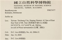 登錄號:F0037477藏品圖，第2張