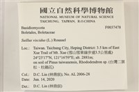 登錄號:F0037478藏品圖，第2張