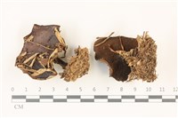 登錄號:F0037478藏品圖，第1張