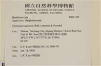 登錄號:F0037479藏品圖，第2張