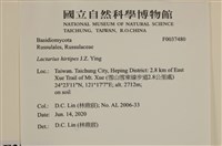 登錄號:F0037480藏品圖，第2張