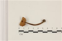 登錄號:F0037480藏品圖，第1張
