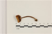 登錄號:F0037480藏品圖，第3張