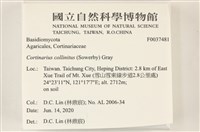 登錄號:F0037481藏品圖，第2張