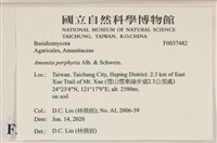 館號:F0037482藏品圖，第2張
