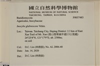 登錄號:F0037483藏品圖，第2張