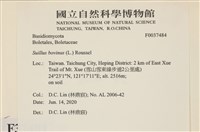 登錄號:F0037484藏品圖，第2張