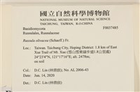 登錄號:F0037485藏品圖，第2張
