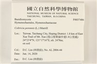 登錄號:F0037486藏品圖，第2張