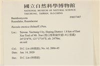 登錄號:F0037487藏品圖，第2張