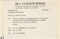 登錄號:F0037488藏品圖，第2張