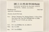 登錄號:F0037489藏品圖，第2張