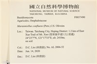 登錄號:F0037490藏品圖，第1張