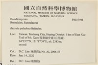 登錄號:F0037491藏品圖，第2張