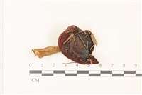 登錄號:F0037491藏品圖，第1張