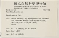 登錄號:F0037492藏品圖，第2張