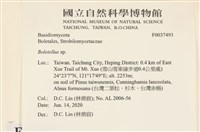 登錄號:F0037493藏品圖，第2張
