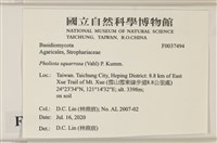 登錄號:F0037494藏品圖，第2張