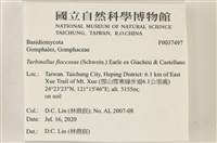 登錄號:F0037497藏品圖，第2張