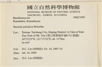 登錄號:F0037499藏品圖，第2張
