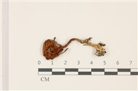 登錄號:F0037500藏品圖，第3張