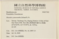 登錄號:F0037502藏品圖，第2張