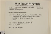 登錄號:F0037504藏品圖，第2張