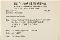 登錄號:F0037506藏品圖，第2張