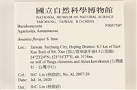 登錄號:F0037507藏品圖，第2張