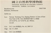 登錄號:F0037508藏品圖，第2張